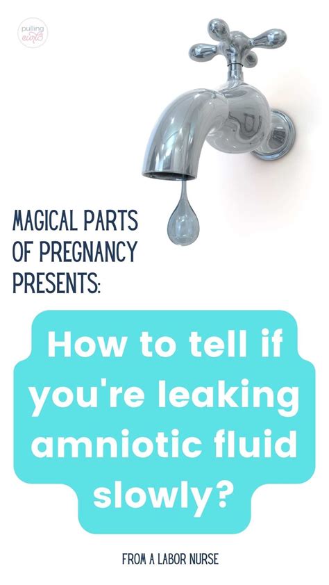 can amniotic fluid leak and then stop|Amniotic Fluid: What You Need To Know When It Leaks